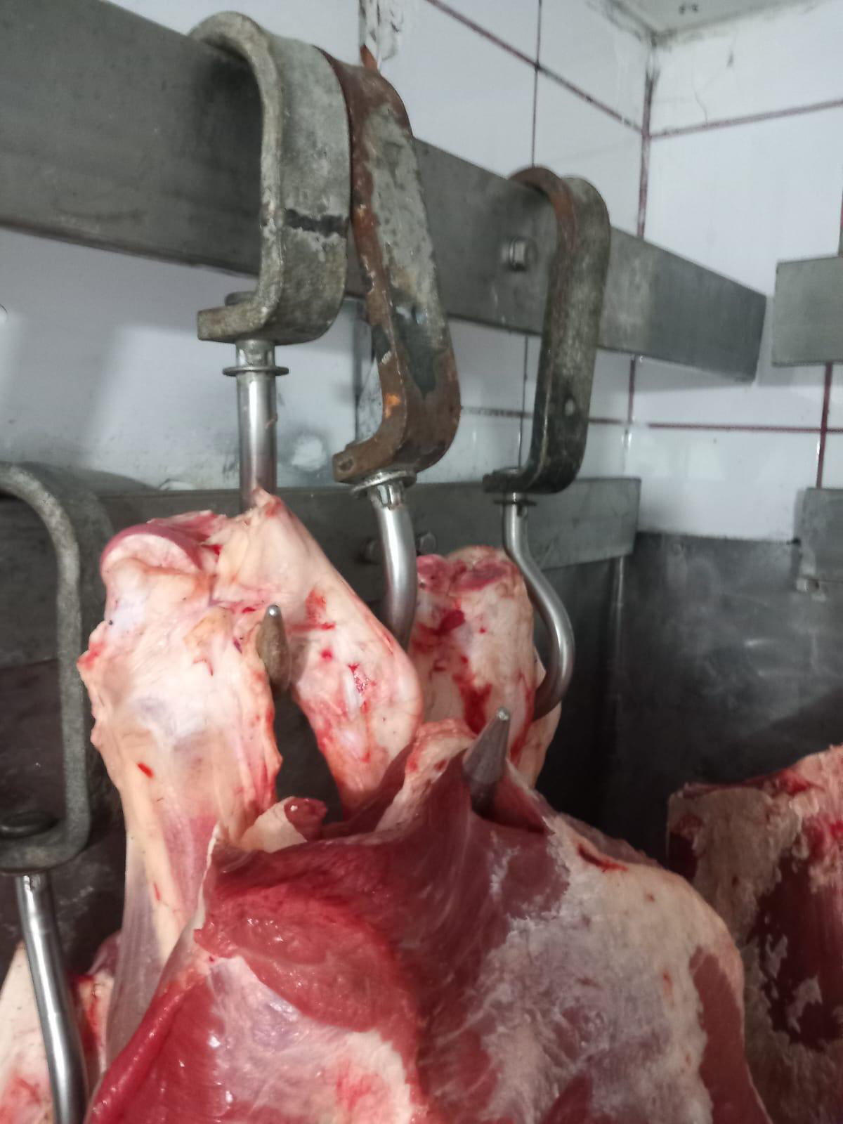 Amenzi de 3,8 milioane de lei și zeci de avertismente pentru operatorii economici verificați de Autoritatea Națională pentru Protecția Consumatorilor (ANPC)