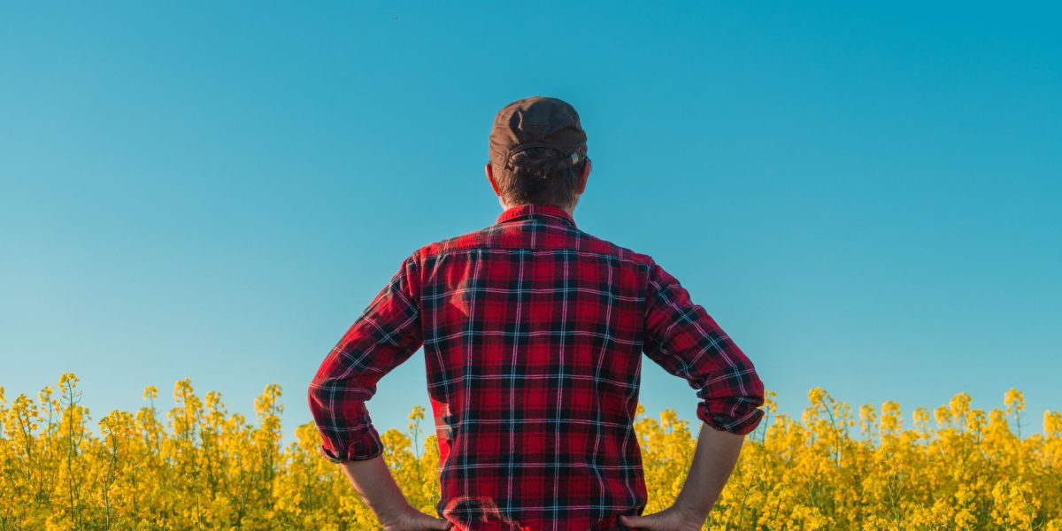 Ce este „manosphere”? Politicieni BRITANICI cer măsuri pentru bărbați