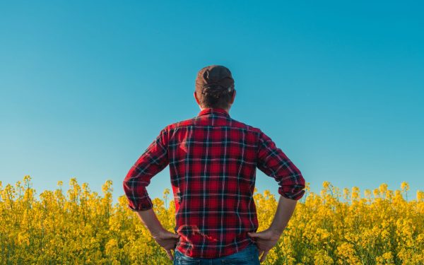 Ce este „manosphere”? Politicieni BRITANICI cer măsuri pentru bărbați