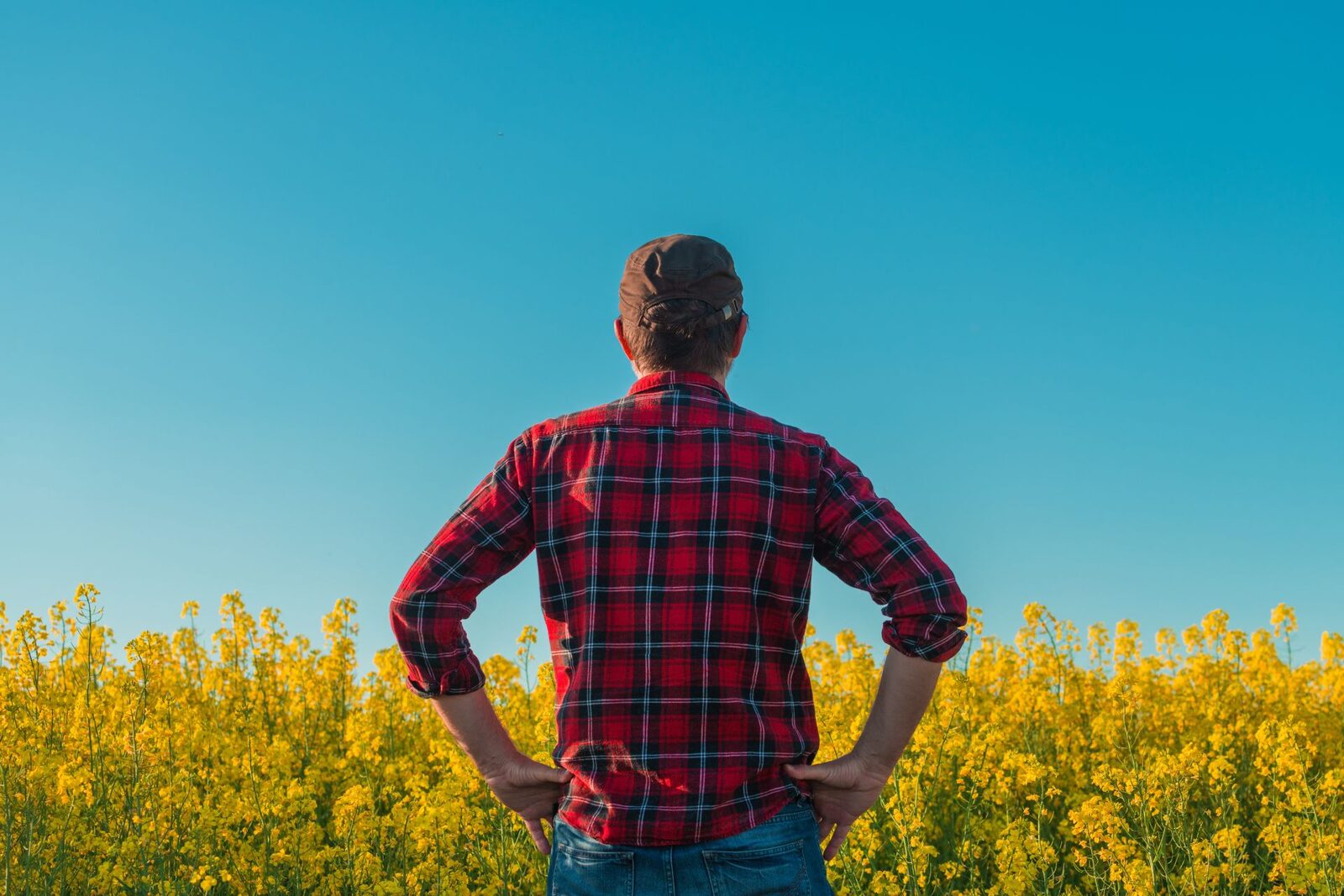 Ce este „manosphere”? Politicieni BRITANICI cer măsuri pentru bărbați