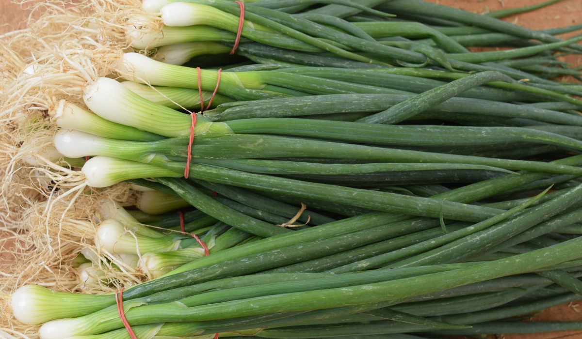 Cum să crești ceapă verde în pahar fără pământ și efort