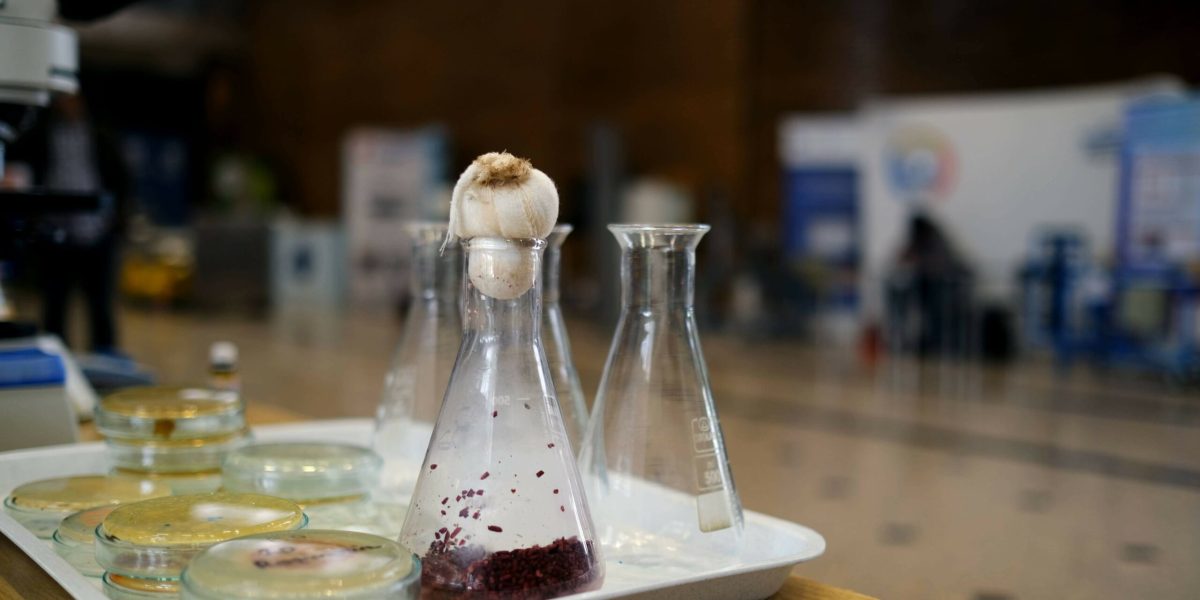 Mâncarea viitorului la POLITEHNICA: BIOFEST 2026, soluții pentru mediu și alimentație