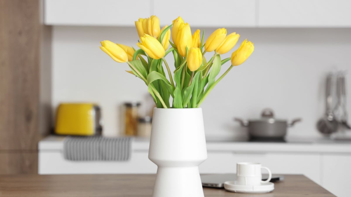 Un truc simplu, dar eficient pentru plantelor cu probleme de fier a devenit viral pe rețelele sociale, atrăgând atenția grădinarilor amatori și profesioniști deopotrivă