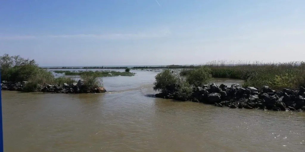 Rezervația Biosferei Delta Dunării va institui prohibiție totală la pescuit începând cu 9 aprilie 2026