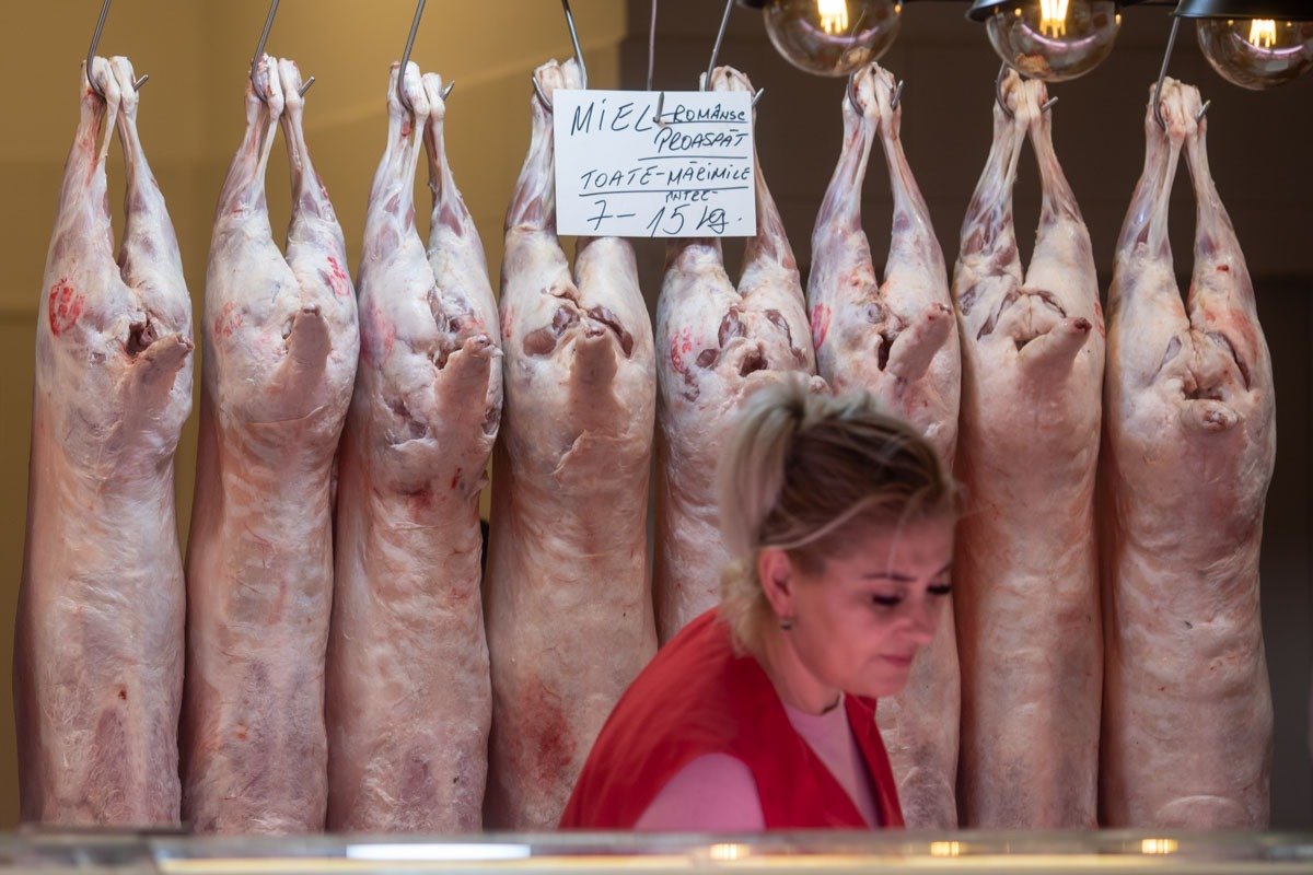 Prețurile mielului în Arad sunt similare cu cele de anul trecut, crescătorii se tem de pierderi din cauza războiului din Orientul Mijlociu