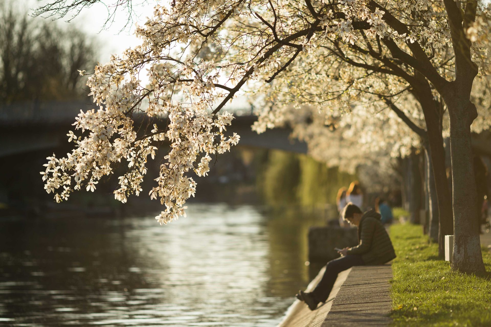 Temperaturile vor fi ușor mai coborâte decât cele obișnuite ca medie pentru această perioadă, în cea mai mare parte a țării, cu accent deosebit în regiunile nordice și nord-estice, conform prognozei publicate vineri de ANM