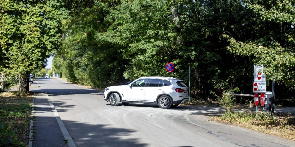 Închiderea drumului din Băneasa: Federația Greenfield sfidează restricțiile