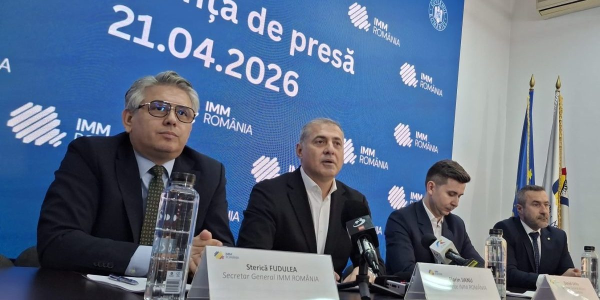 Patronii IMM România: „Criza politică nu achită salariile, noi ne afundăm singuri în criză”