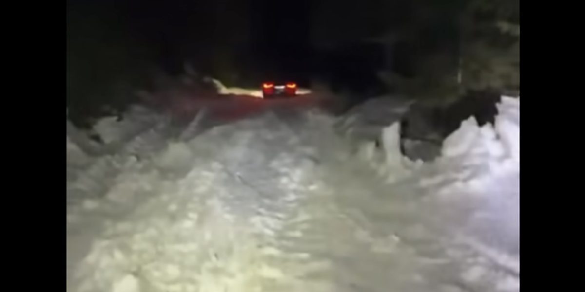 Înzăpeziți de Înviere în Cheile Oltețului: Tatăl și fiul salvați de jandarmi