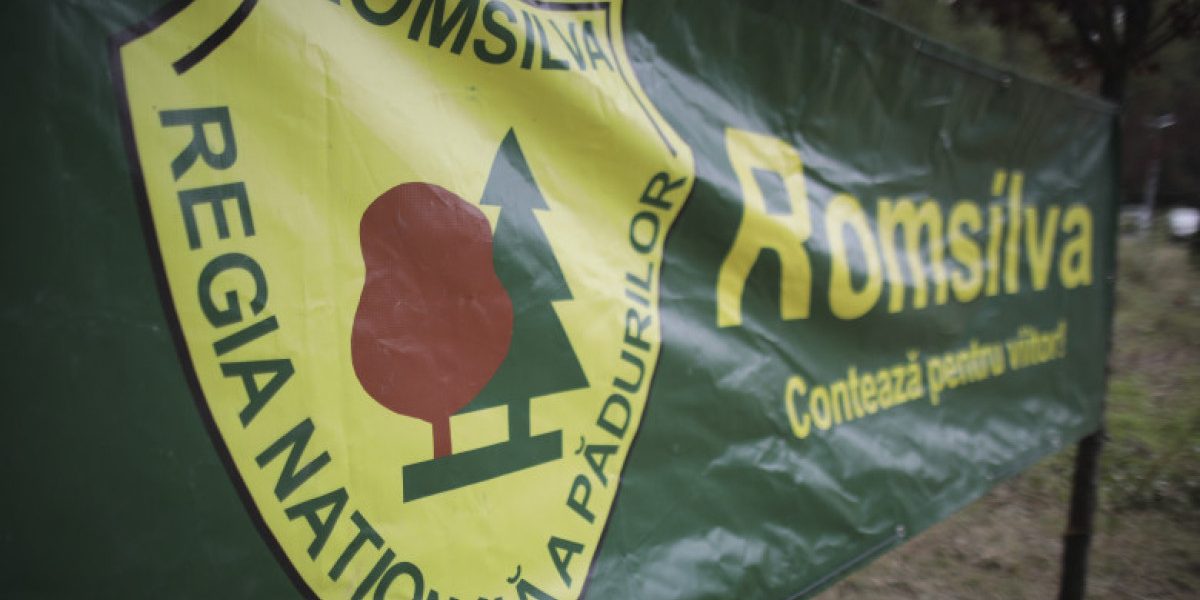 Silva protestează violent: Guvernul a adus silvicultorii la sapă de lemn!