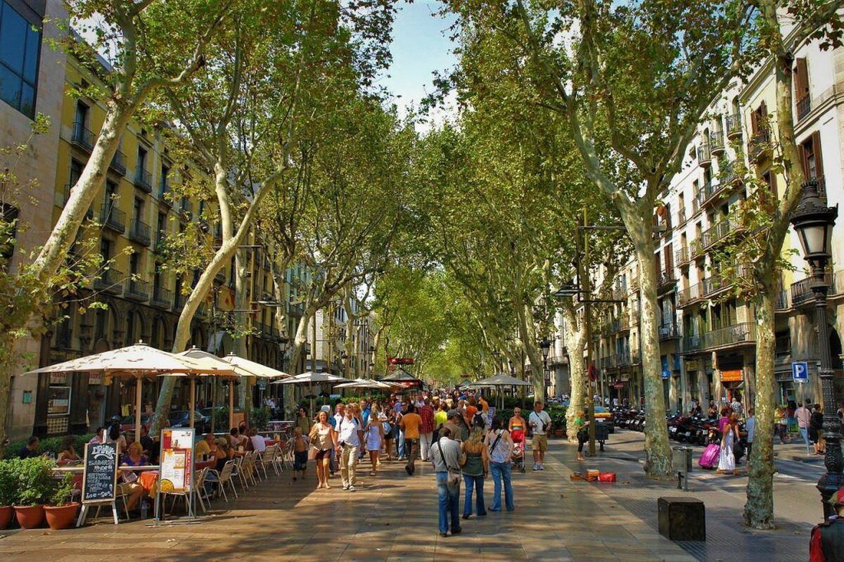 Barcelona: La Rambla, „Zonă de Excelență” pentru terase. Cum va arăta noua promenadă?