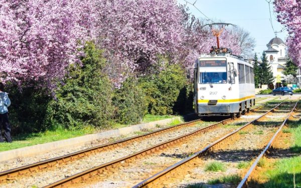 Ciucu, despre șantierele pe linii de tramvai: „Dacă nu le facem acum, nu mai facem”