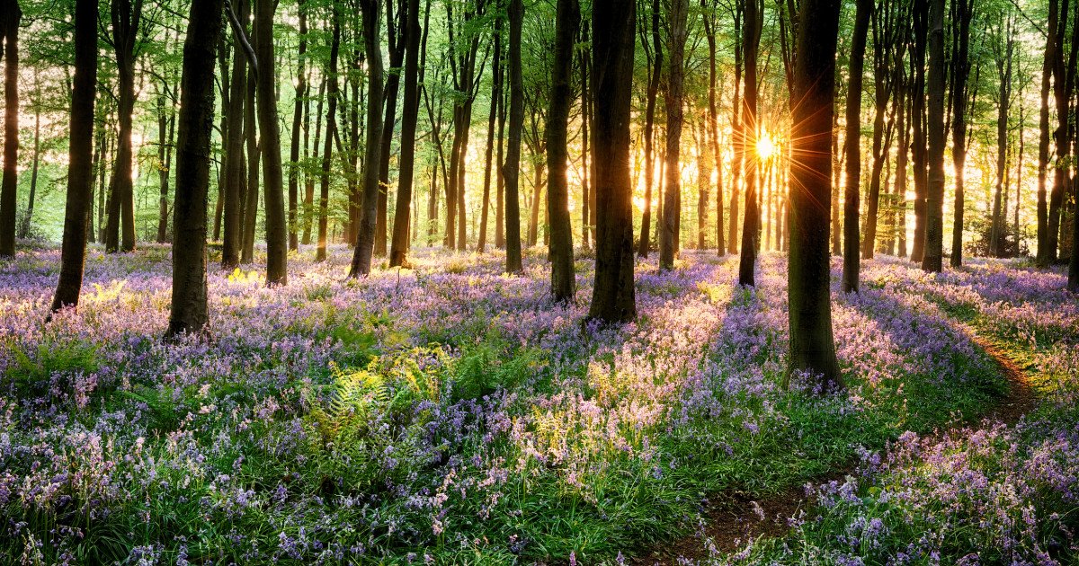 Vremea se schimbă: ANM anunță ce ne așteaptă în următoarele patru săptămâni Administrația Națională de Meteorologie (ANM) a emis o prognoză actualizată pentru intervalul 6 aprilie – 4 mai, oferind o privire detaliată asupra evoluției vremii în România