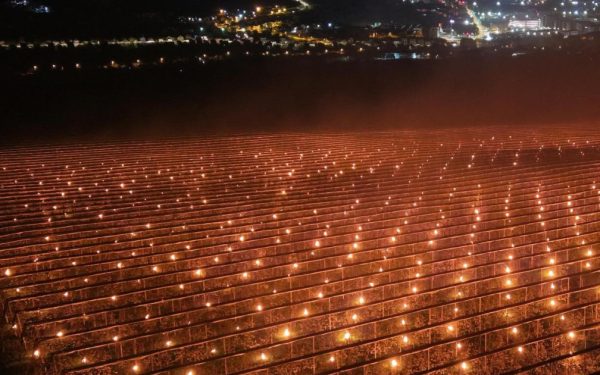 Incendierea de 40.000 EURO pentru cireșe: Pomicultorii, la un pas de faliment