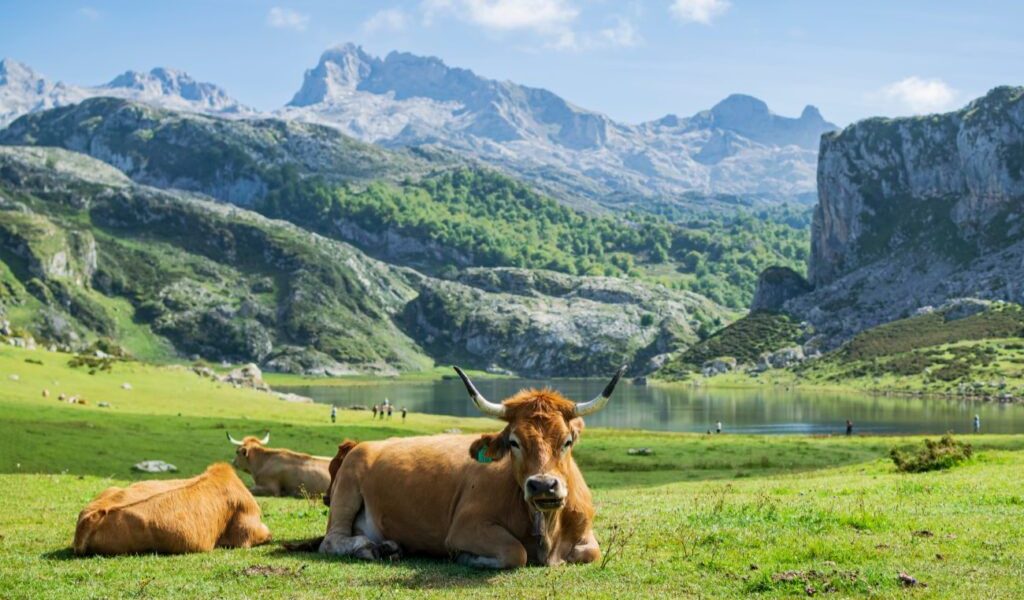 Un colț de Europă, ascuns lumii, desemnat cel mai frumos din lume