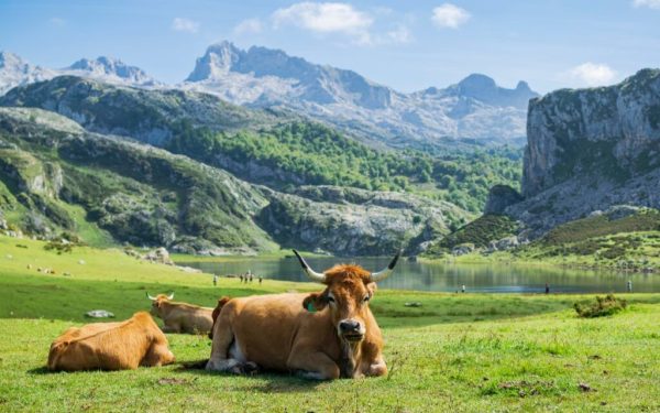 Un colț de Europă, ascuns lumii, desemnat cel mai frumos din lume