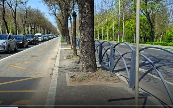 Benzile unice pentru autobuze, pe Bulevardul Regele Mihai I: schimbări majore