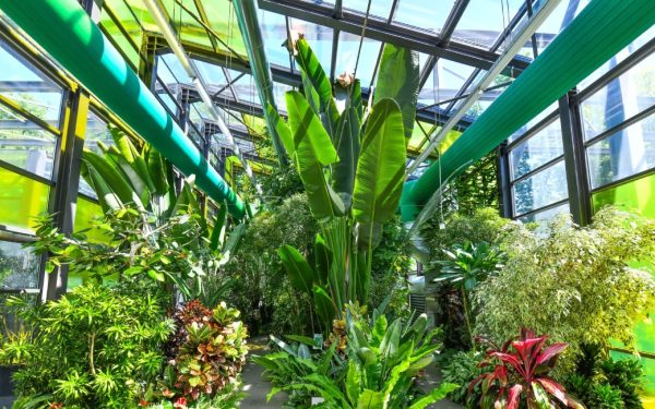 Program de Paște la Serele Exotice din Parcul Drumul Taberei în București