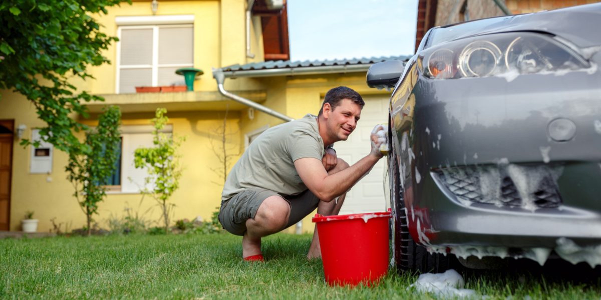 Viața la curte vine la pachet cu responsabilități mari, inclusiv protejarea mediului înconjurător