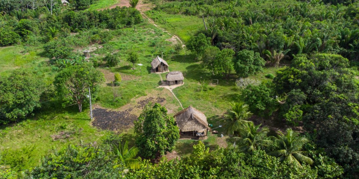 Drumuri antice, vechi de 2.700 de ani, dezvăluite în inima Amazonului