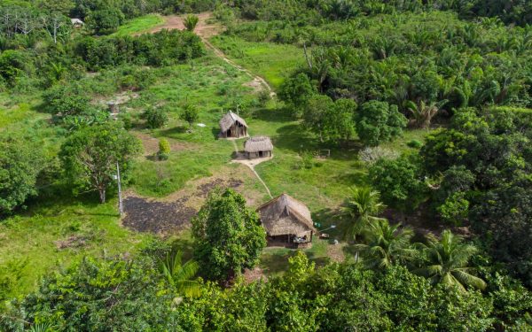 Drumuri antice, vechi de 2.700 de ani, dezvăluite în inima Amazonului