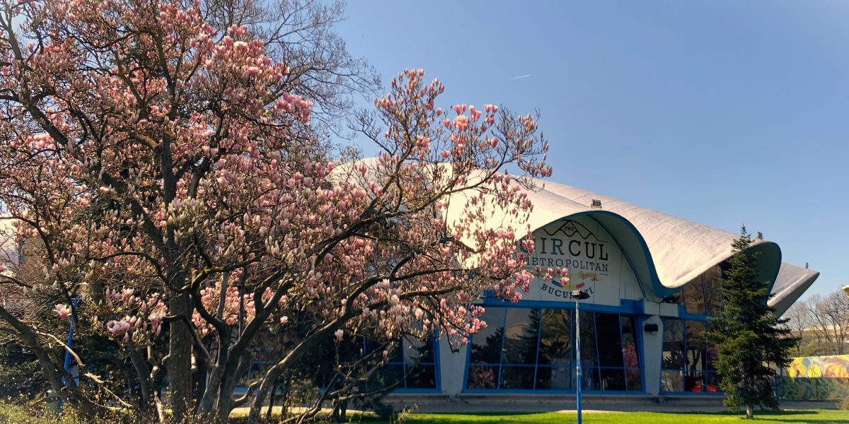 Adopții la Circul Metropolitan în aprilie: Distracție și activități pentru copii