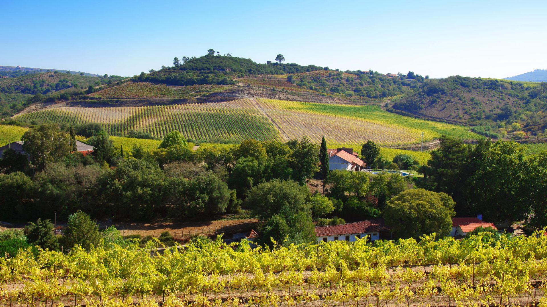 ONG-urile din România cer intervenția Bruxelles-ului în cazul legii privind exproprierile miniere Un număr de 60 de organizații neguvernamentale din România au transmis marți o scrisoare oficială către președintele Comisiei Europene, Ursula von der Leyen, și către Viviane d’Udekem d’Acoz, secretar general adjunct al instituției