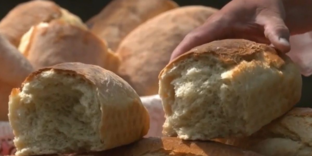 Banatul, regiune gastronomică europeană în 2028: Victorie istorică pentru România