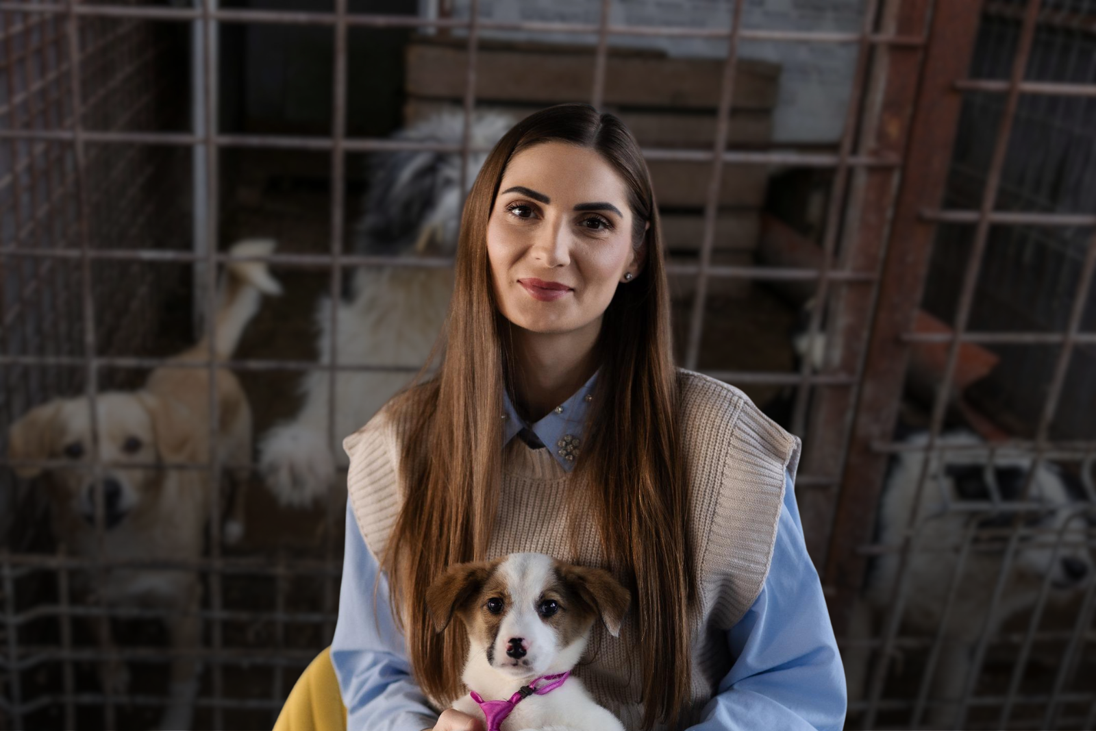 Scandalul privind abatoarele de câini, precum cele din Suraia și Uzunu, a scos în evidență o practică frecventă a autorităților locale din România: externalizarea gestionării animalelor fără stăpân către adăposturi private, fără controale suficiente