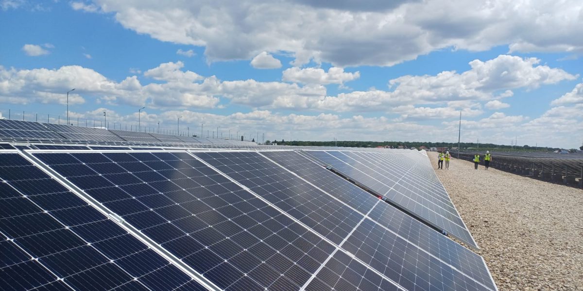 Băieții „deștepți” din energie, la vânzare pe OLX: Parcuri solare cu avize