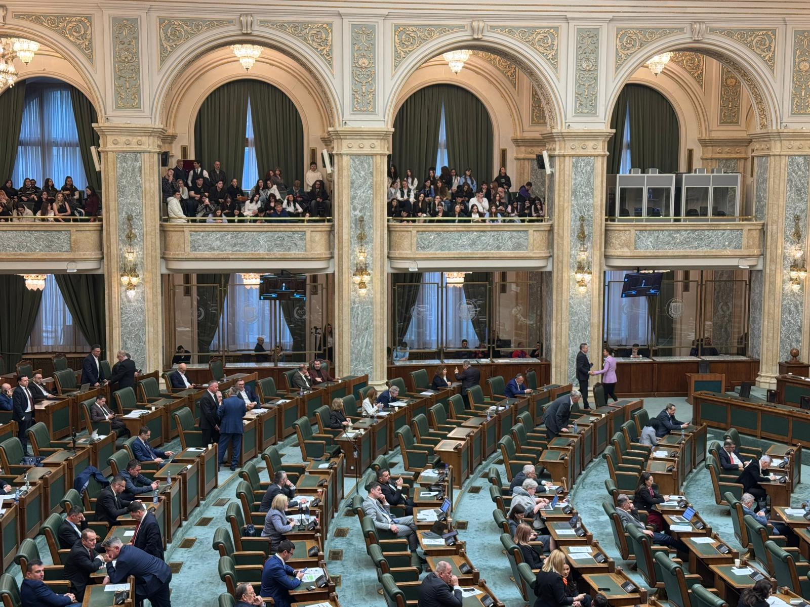 Haos la Senat: Scandal uriaș după votul pe alcoolul la meciuri