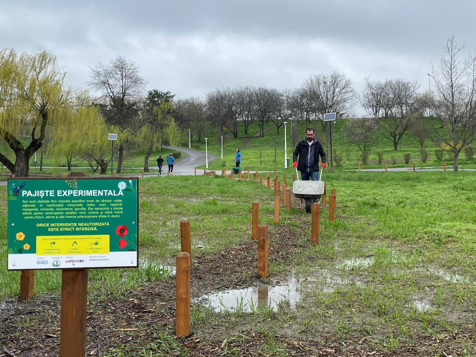 În ciuda vremii mohorâte și a ploii răsfirate, activitățile de întreținere a pajiștelor urbane din Parcul Tineretului au continuat, sub coordonarea voluntarilor Asociației Parcul Natural București