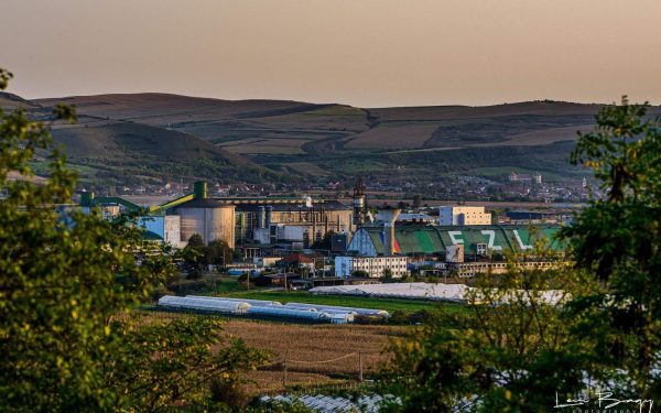 Ce afaceri a făcut Zahăr Luduș anul trecut, singura fabrică românească?