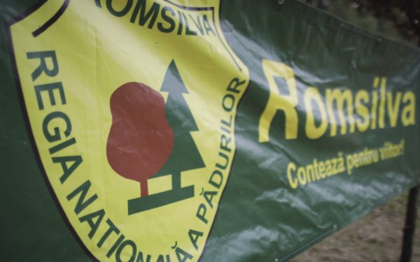 Sindicaliștii Romsilva atacă reorganizarea regiei în instanță