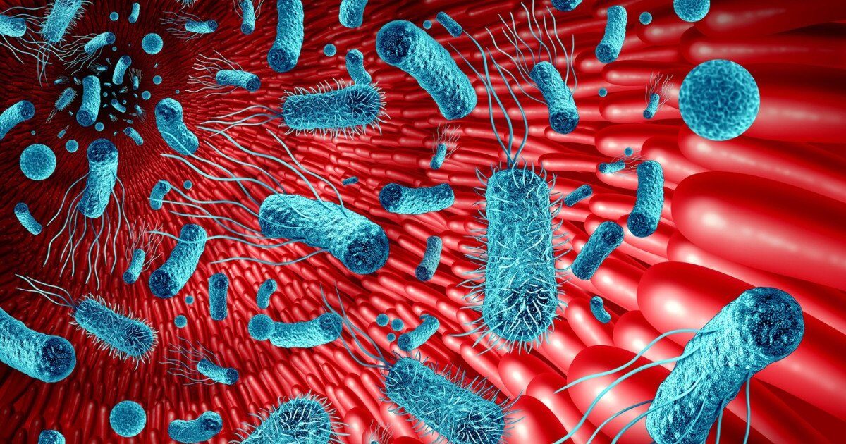 Intestinul, „al doilea creier”? Studiul care arată rolul crucial al microbiomului