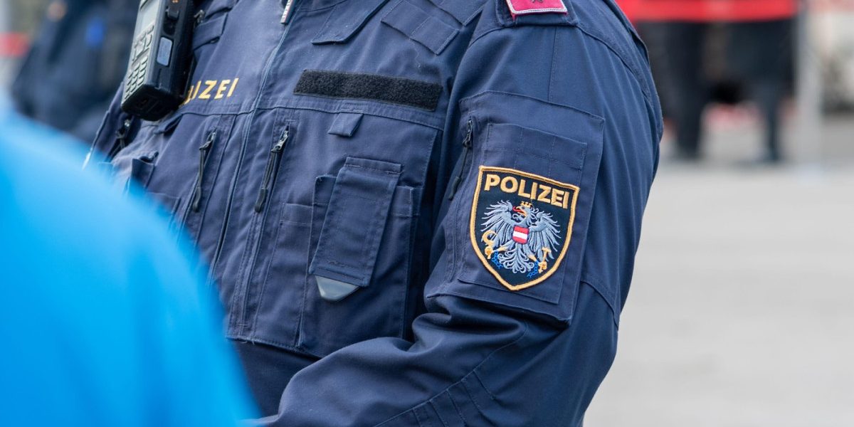 Viena: Poliția a prins escroci români. Lovitură dură pentru rețea