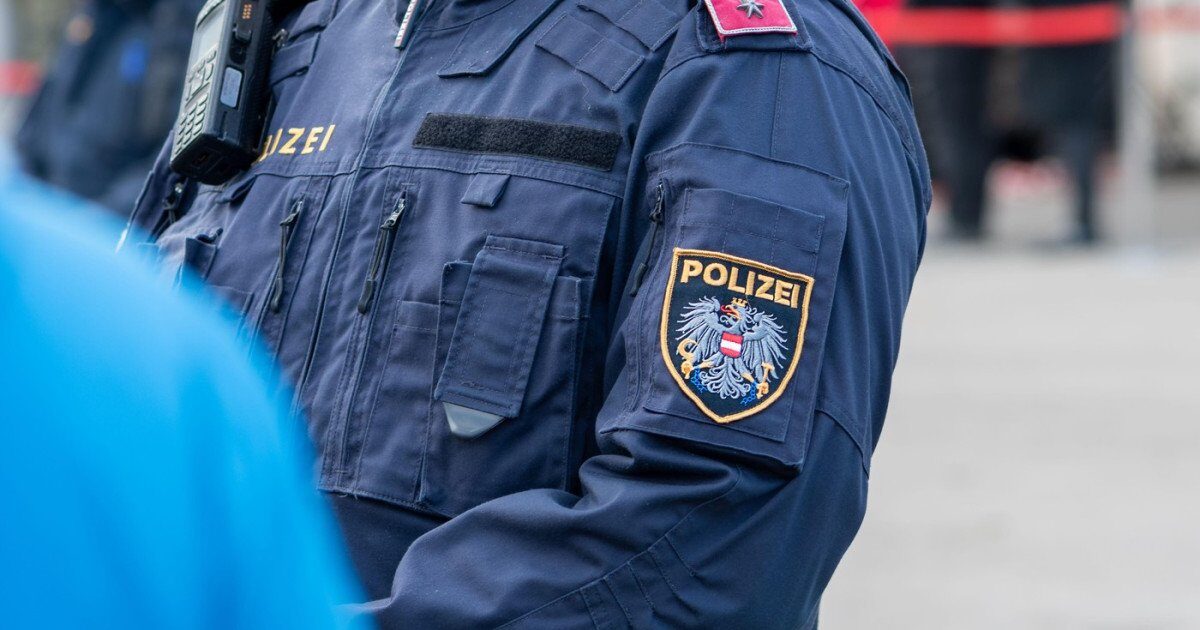 Viena: Poliția a prins escroci români. Lovitură dură pentru rețea