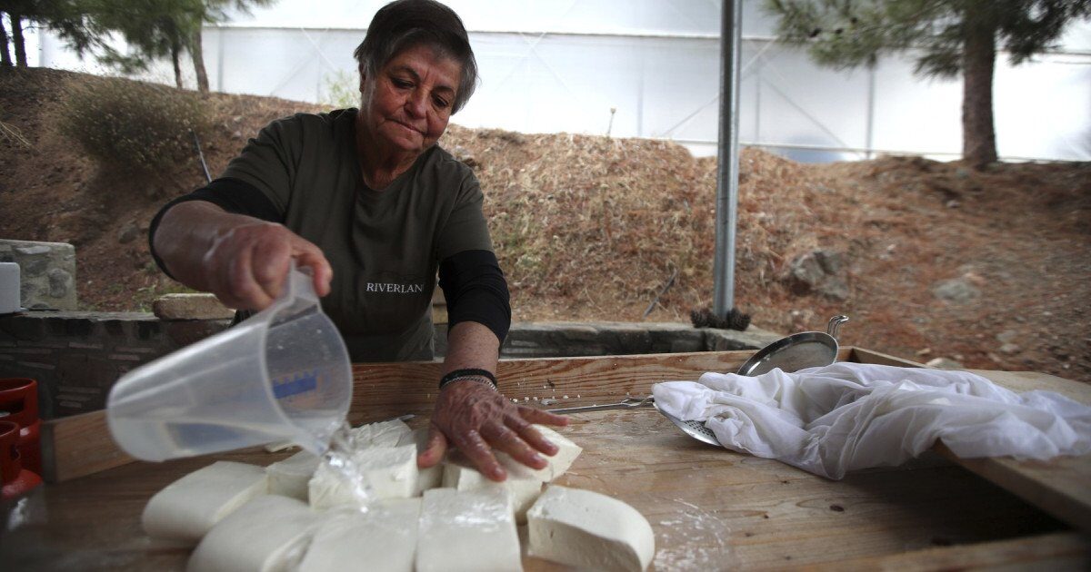 Brânza Halloumi, în criză: fermierii ciprioți, loviți de o epidemie. Soluția, la turci