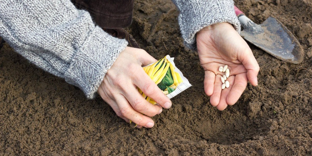 România, campioană mondială la autosuficiență alimentară? Detalii șocante