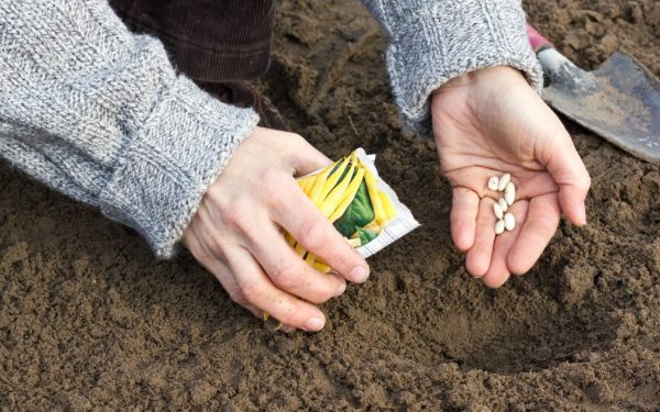 România, campioană mondială la autosuficiență alimentară? Detalii șocante