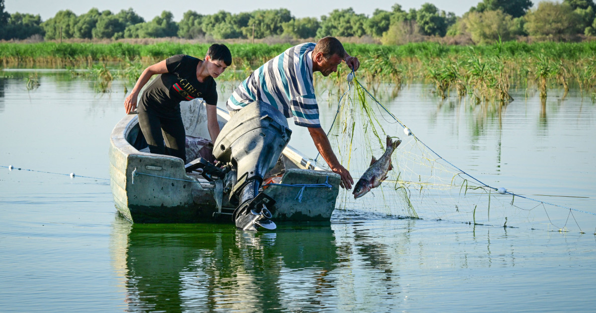 Pescarii tulceni au majorat prețurile pentru capturile livrate către punctele de debarcare și centrele de primă vânzare, ca urmare a creșterii semnificative a costurilor cu carburantul