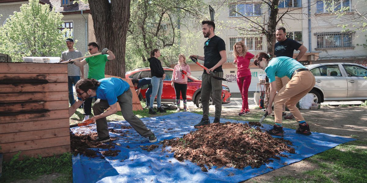 Din deșeuri, îngrășământ: 850 de bucureșteni transformă legumele în resurse