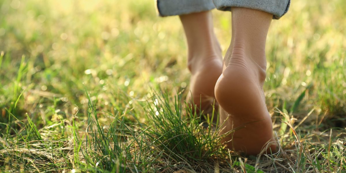 Harvard: Mitul celor 10.000 de pași, demolat. Ce spune studiul