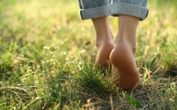 Harvard: Mitul celor 10.000 de pași, demolat. Ce spune studiul