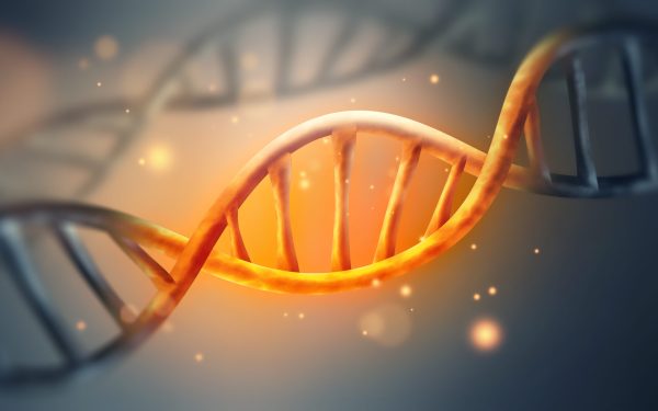 Unde s-ar afla secretul codului genetic: misterul savanților
