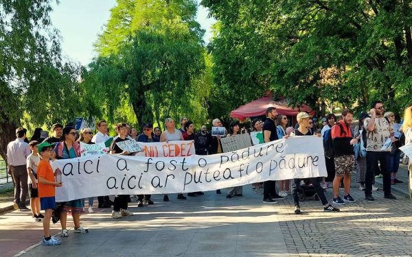 Cum faci un grup civic: lecții practice din cinci cartiere ale Bucureștiului