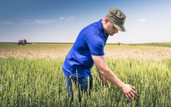 Criză îngrășămintelor: Fermierii cer ajutor URGENT de la Bruxelles