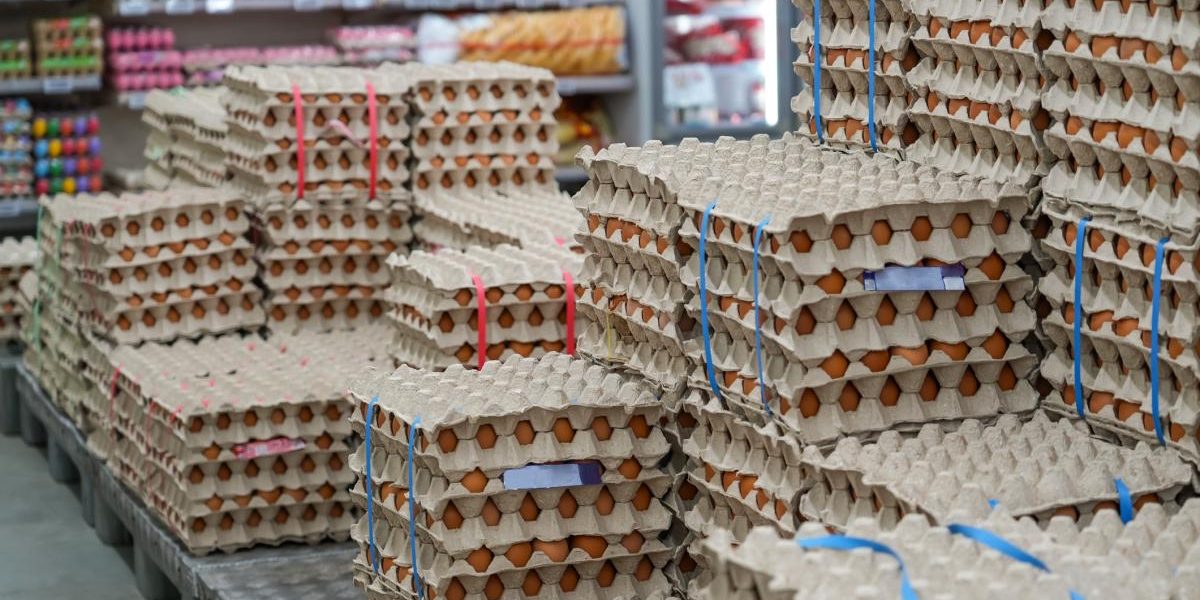 Alertă înainte de Paște: 1,5 milioane ouă cu Salmonella, retrase la Vaslui