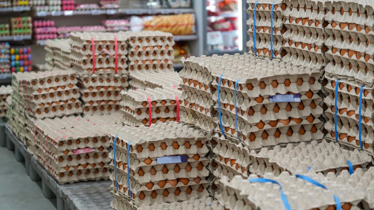 Alertă înainte de Paște: 1,5 milioane ouă cu Salmonella, retrase la Vaslui