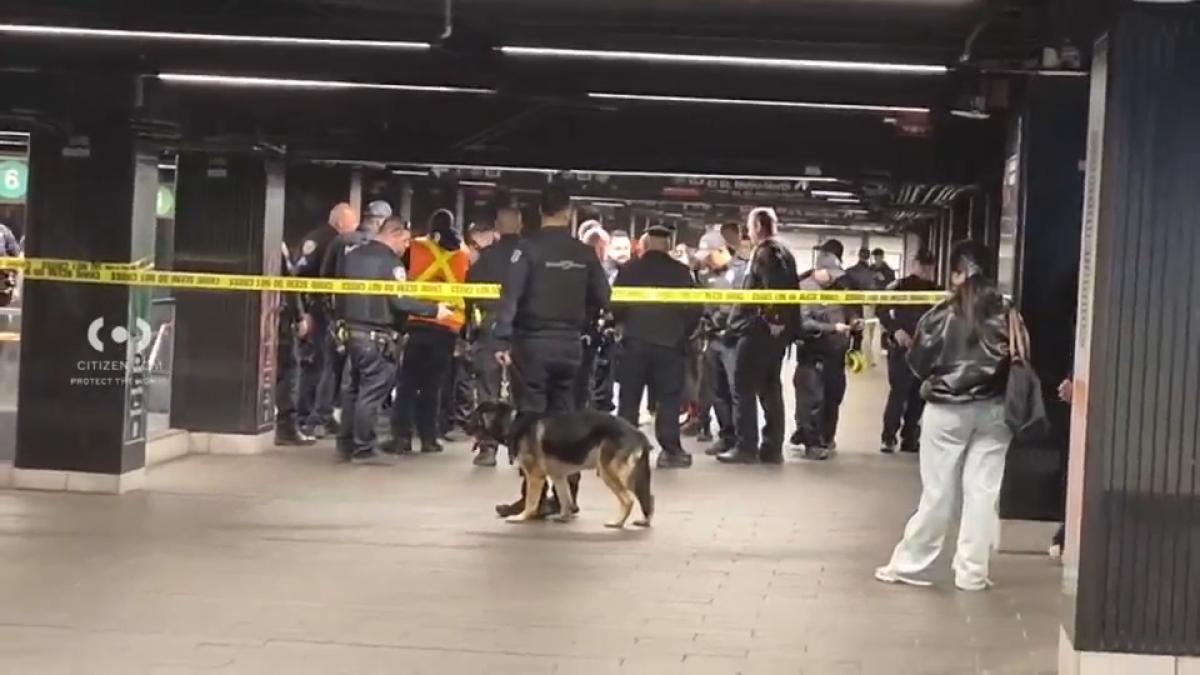 Atac cu maceta în NY: Trei răniți în metrou, suspectul, împușcat de polițiști
